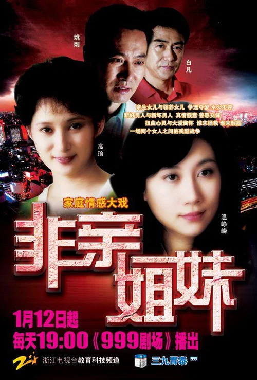 非親姐妹(2009)海報