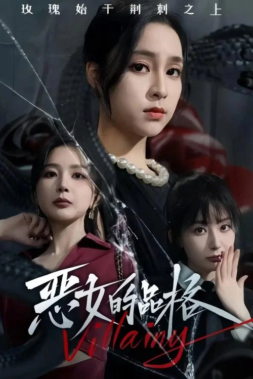 恶女的品格(2024)海报