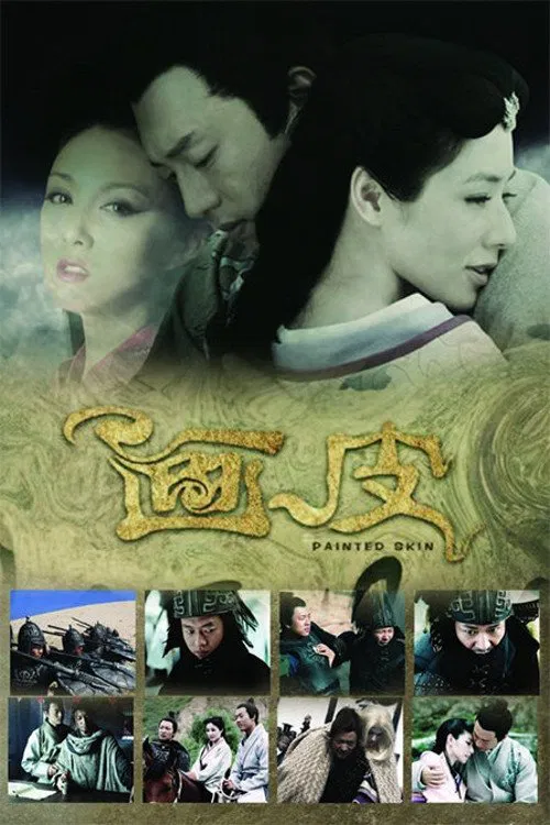 畫皮 2011(2011)海報