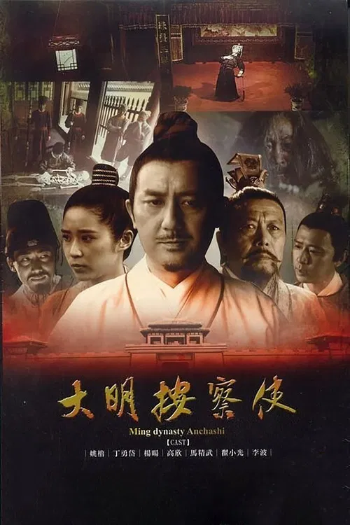 大明按察使(2013)海報