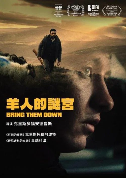 打倒他们(2025)海报