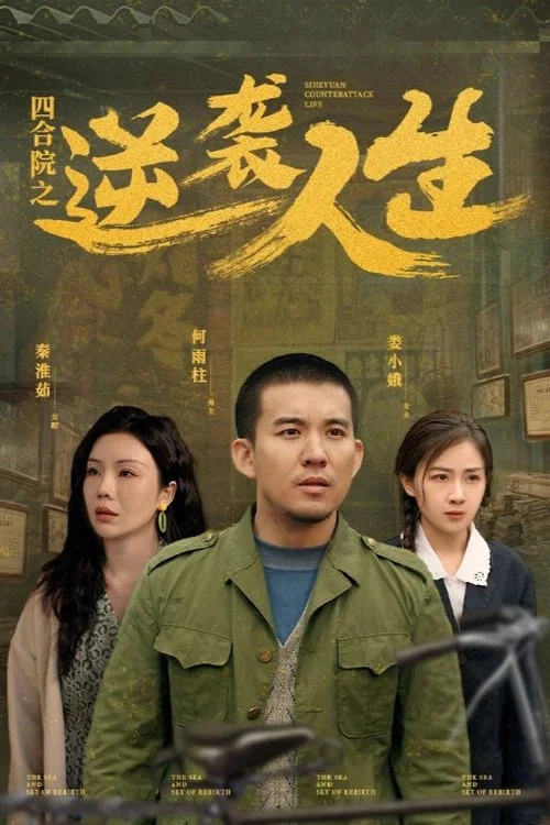 四合院之逆襲人生(2025)海報