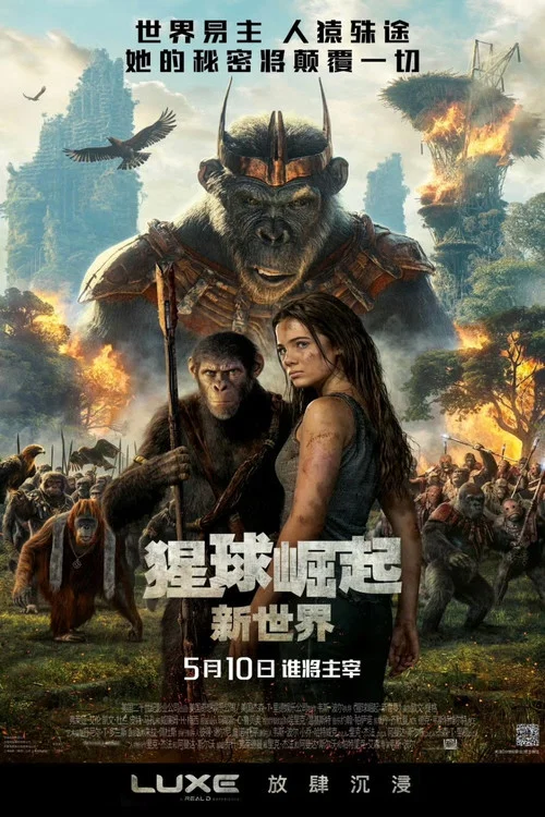 猩球崛起:新世界剧照8