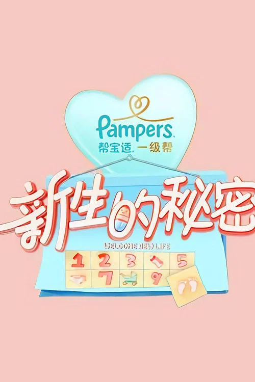 新生的秘密(2019)海報
