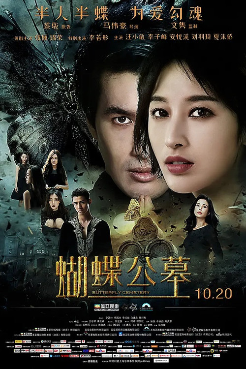蝴蝶公墓劇照3