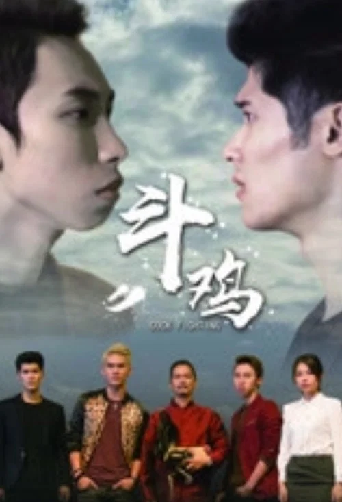 斗鸡(2017)海报