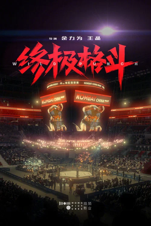 终极格斗(2004)海报