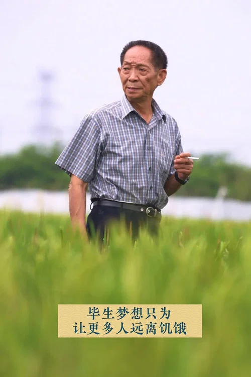 雜交水稻之父袁隆平(2021)海報