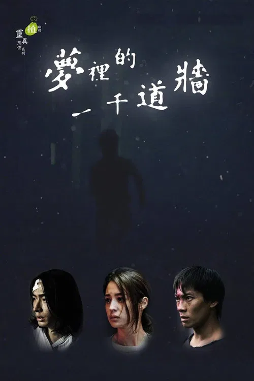 梦里的一千道墙(2017)海报