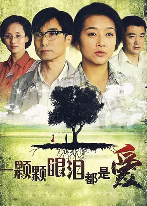 一颗颗眼泪都是爱(2008)海报