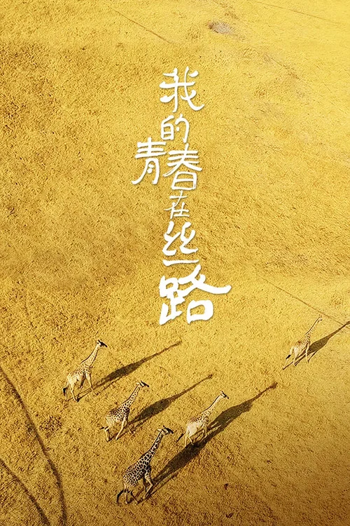 我的青春在丝路(2018)海报