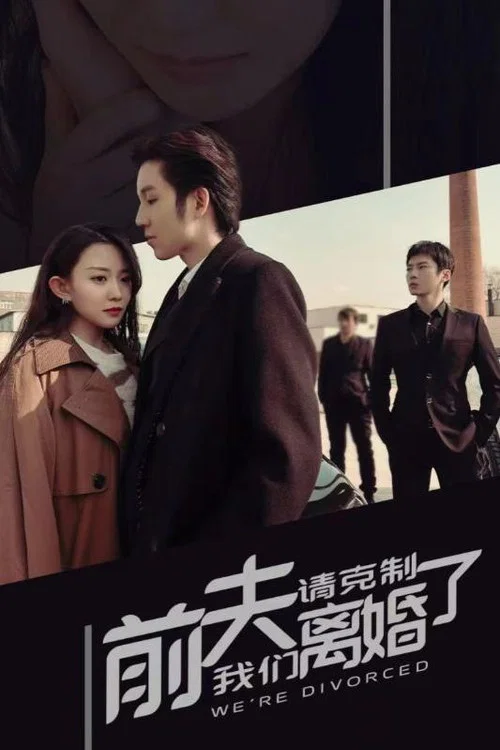 前夫请克制,我们离婚了(2024)海报