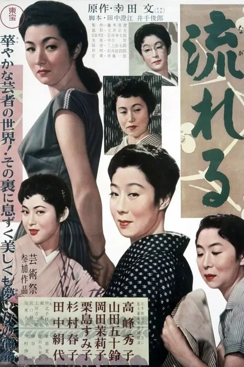 流浪记(1956)海报