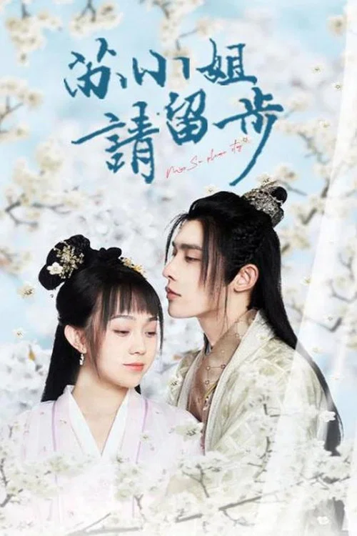 苏小姐请留步(2022)海报