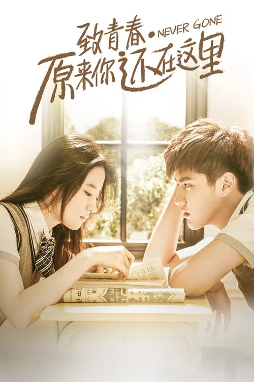 致青春·原来你还在这里(2016)海报