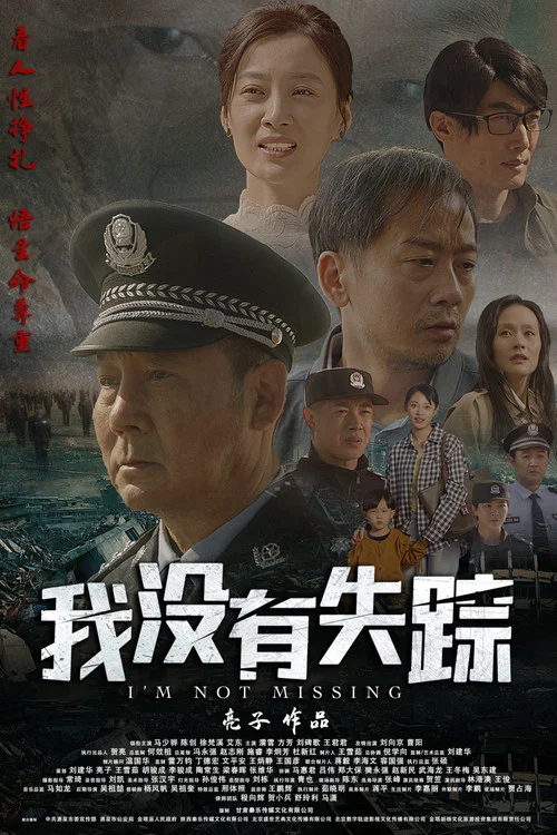 我没有失踪(2024)海报