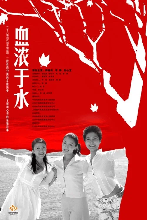 血浓于水(2009)海报