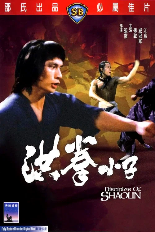 洪拳小子(1975)海报