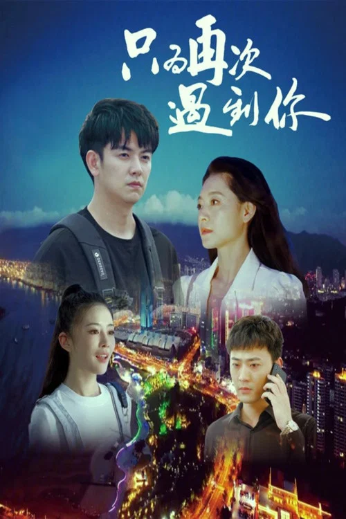 只为再次遇到你(2024)海报