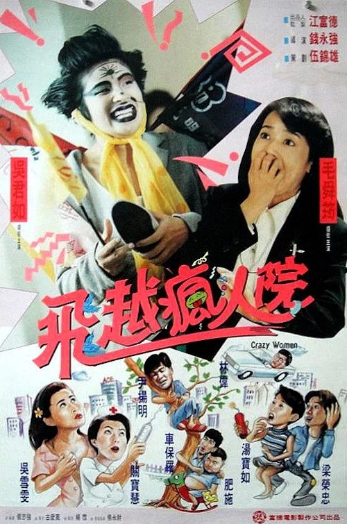 傻大姐翻转疯人院(1993)海报