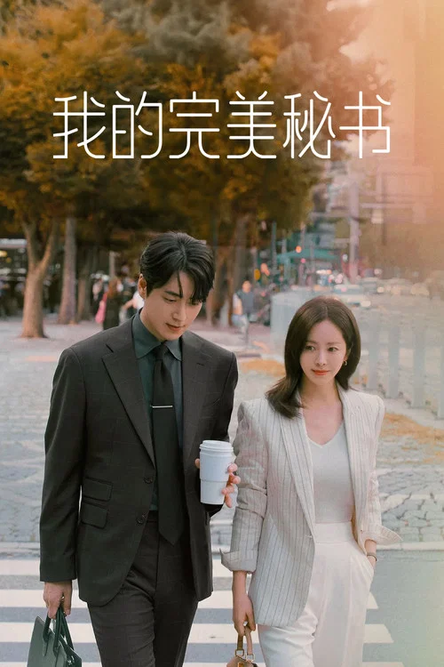 我的完美秘書(2025)海報