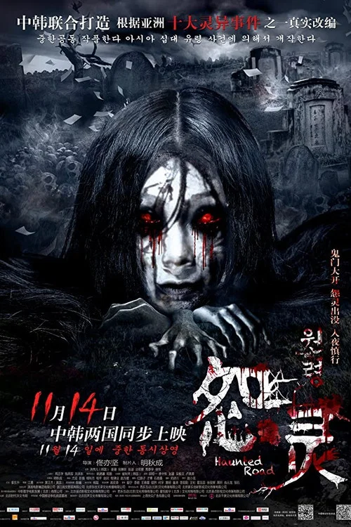 怨靈(2014)海報