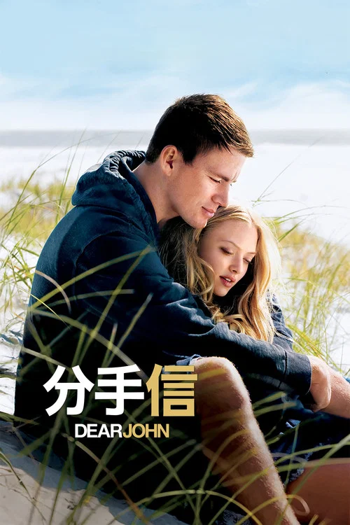 分手信(2010)海報