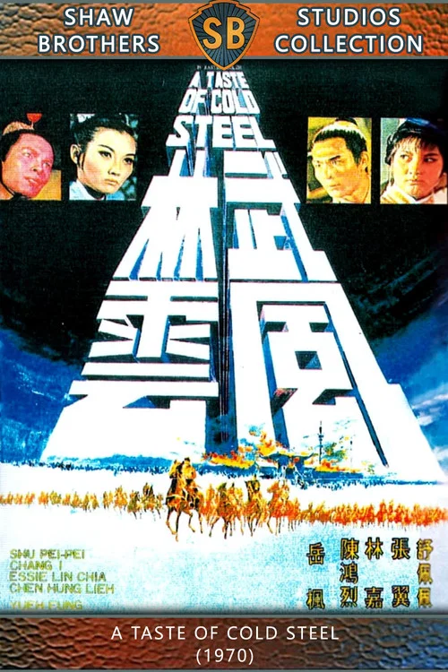 武林風雲劇照4
