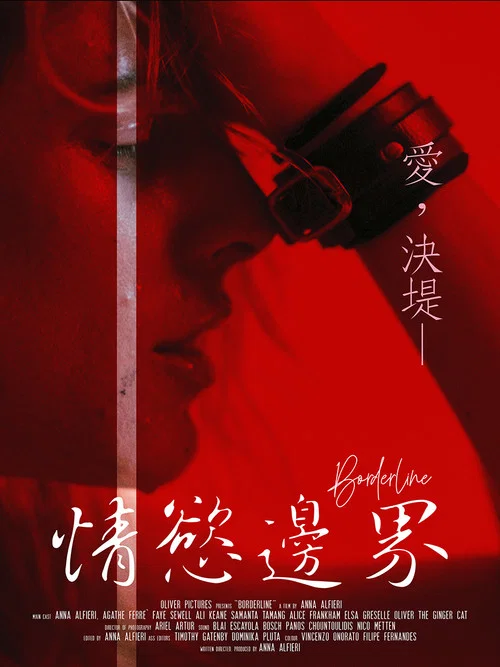 情欲边界(2021)海报