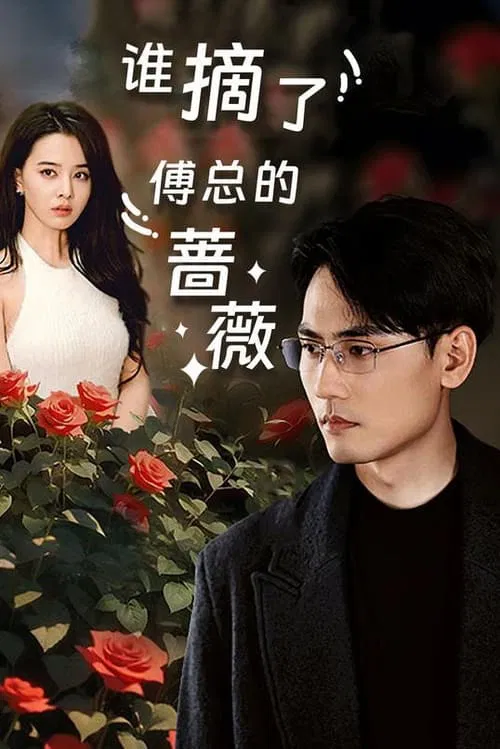 谁摘了傅总的蔷薇(2024)海报