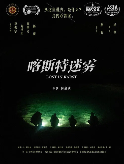 喀斯特迷雾(2025)海报