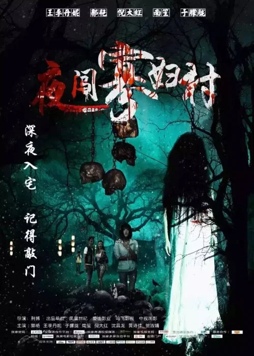 夜闖寡婦村(2017)海報