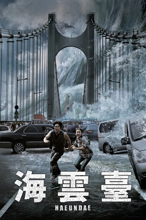 海雲臺(2009)海報