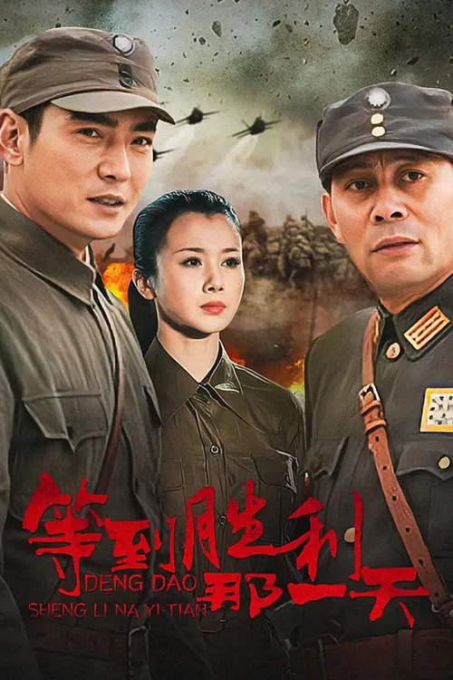 等到勝利那一天(2010)海報
