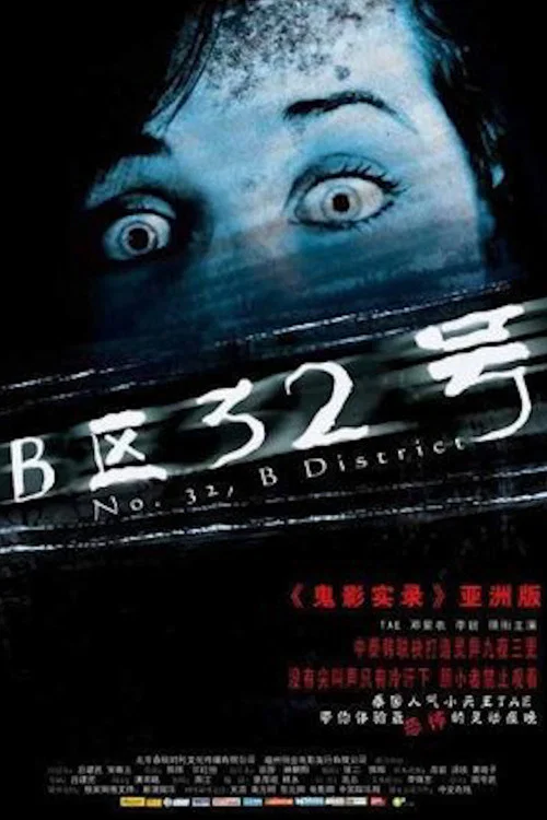 B区32号(2011)海报