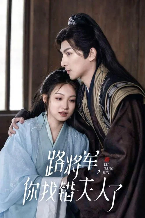 路将军,你找错夫人了(2024)海报
