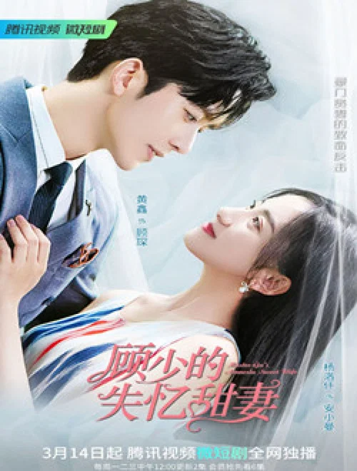 顾少的失忆甜妻海报