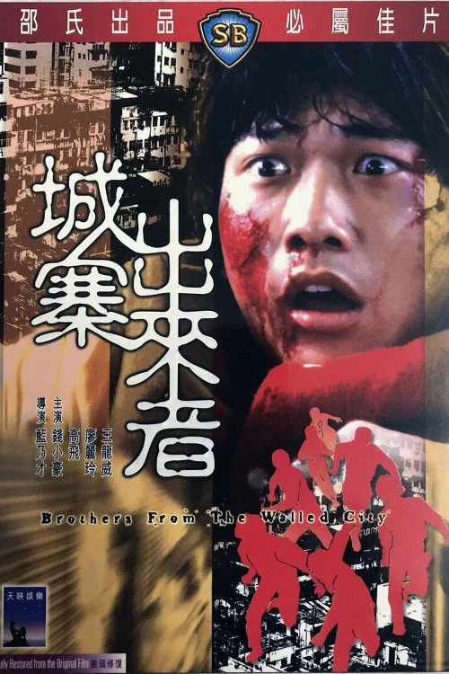 城寨出来者剧照5