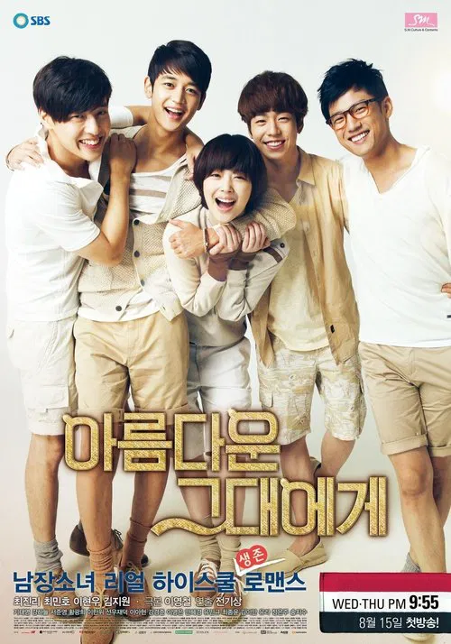 致美麗的你(2012)海報