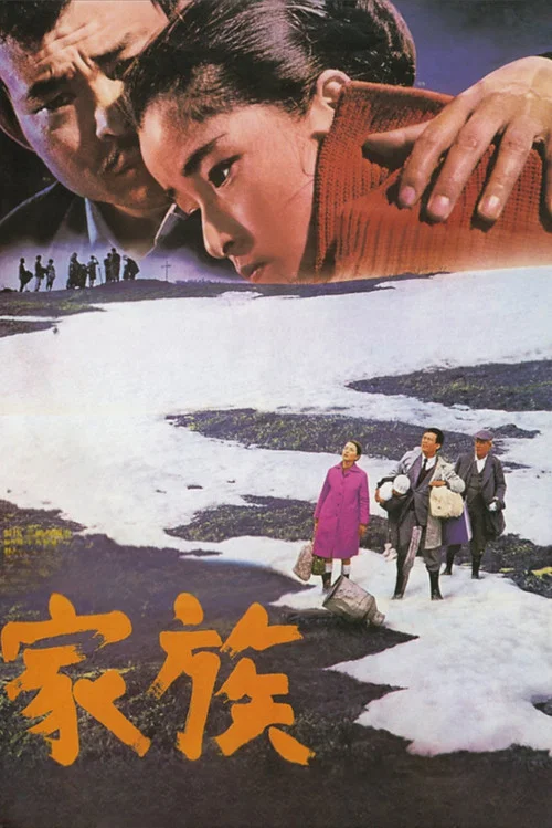 家族1970(1970)海報