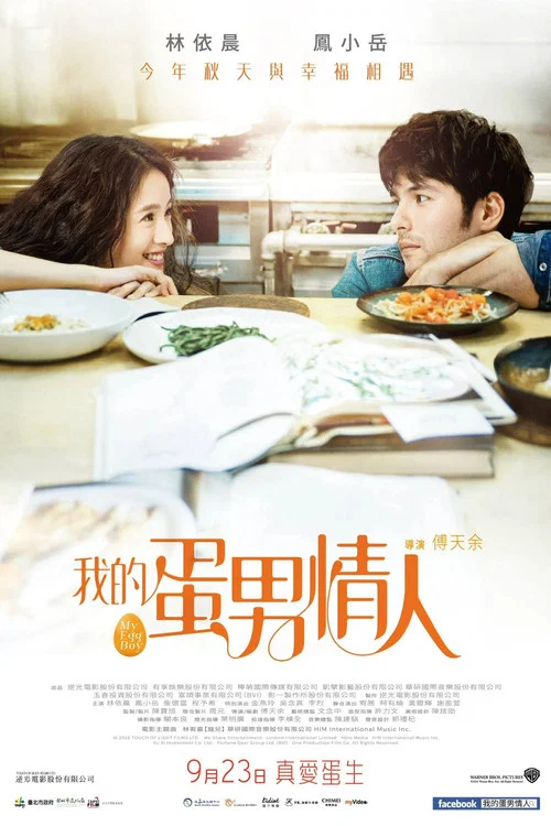 愛情凍住了(2016)海報