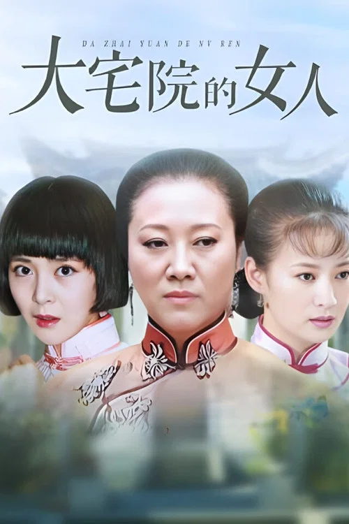 大宅院的女人(2009)海报
