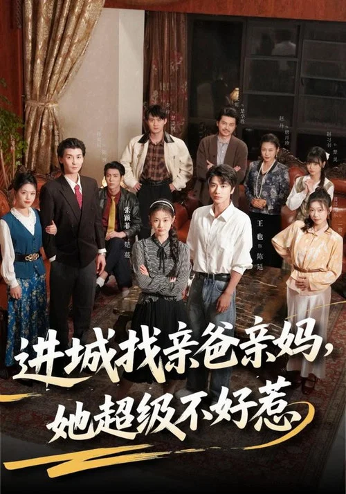 妈妈进城(2026)海报