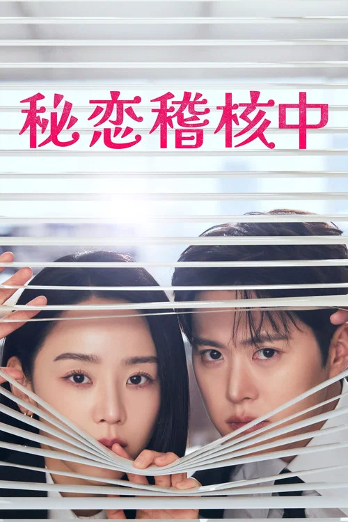 隐秘的监察剧照2