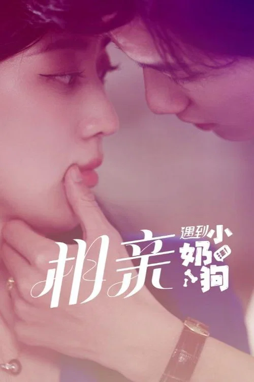 相亲遇到小奶狗(2024)海报