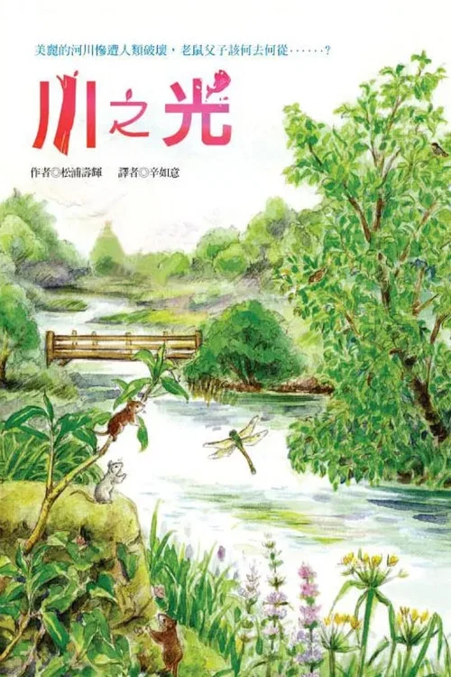 川之光(2009)海報