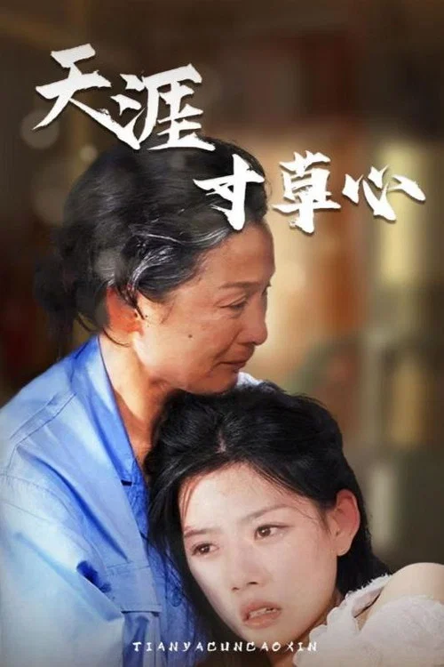 天涯寸草心(2024)海报