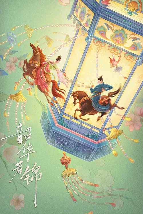 韶華若錦劇照6