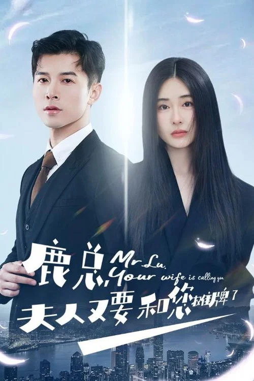 鹿总夫人又要和您摊牌了(2024)海报