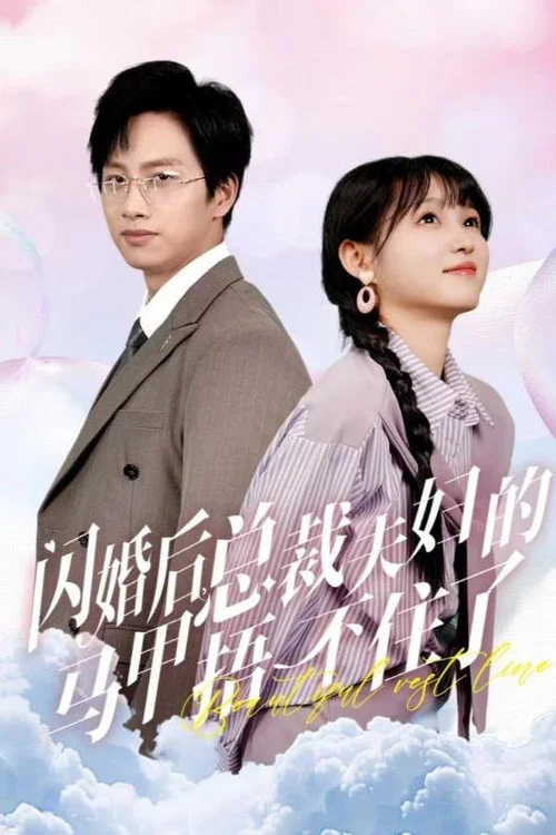 闪婚后总裁夫妇的马甲捂不住了(2024)海报